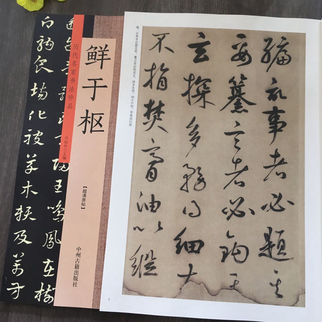 书法字帖草书鲜于王安石临摹毛笔字毛笔古镜透光书法