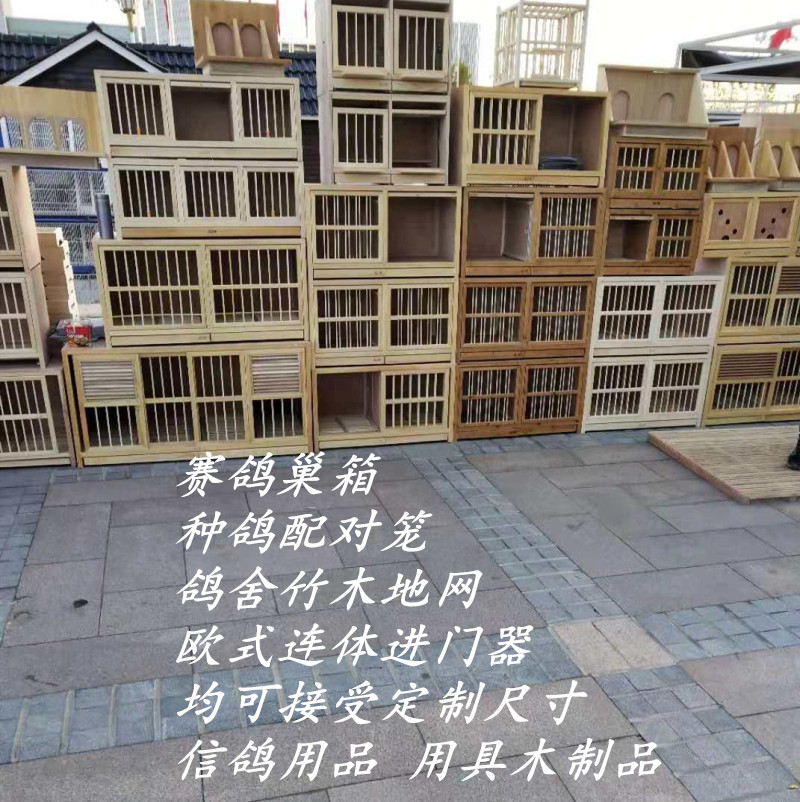 巢箱赛鸽种鸽组合信鸽上翻门巢箱调节其他
