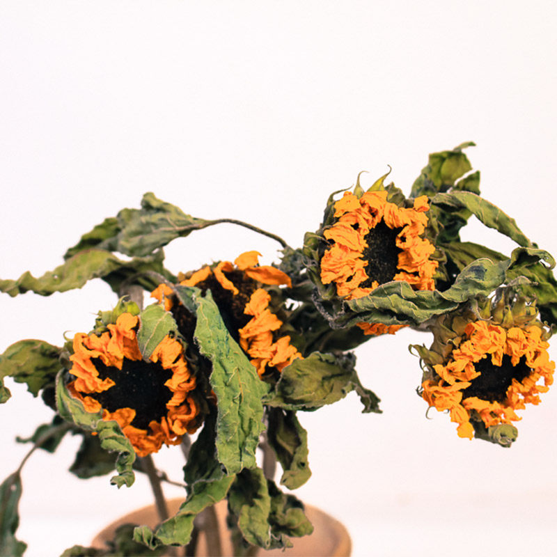 客厅向日葵干花花束手工花材店铺家居摆件装饰干花
