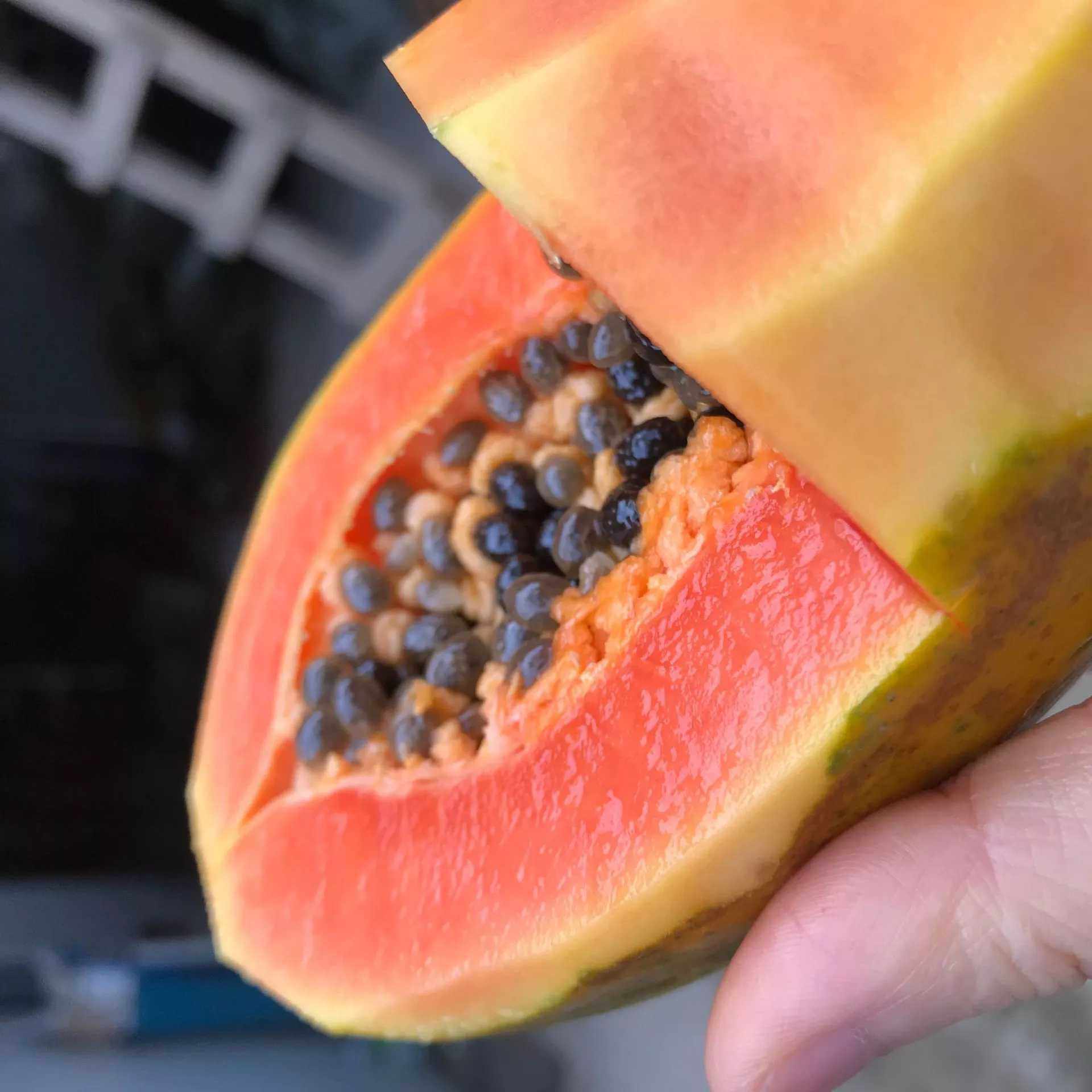 雷州红心木瓜papaya新鲜热带水果当季牛奶冰糖7.9元一只包邮特价