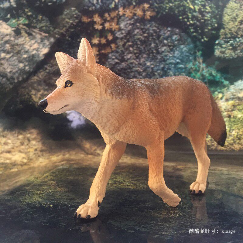 狼玩具美国safari正品野生仿真动物大灰狼模型礼物摆件收藏