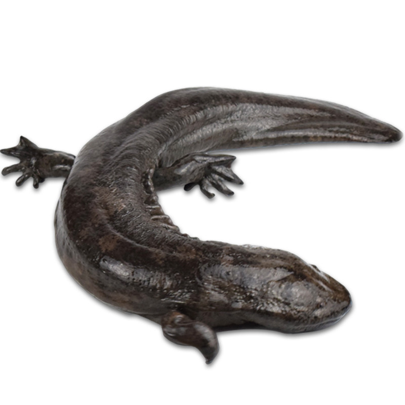 【聚家亲】娃娃鱼鲜活大鲵活体食用新鲜生鲜水产月子餐汤包活到家