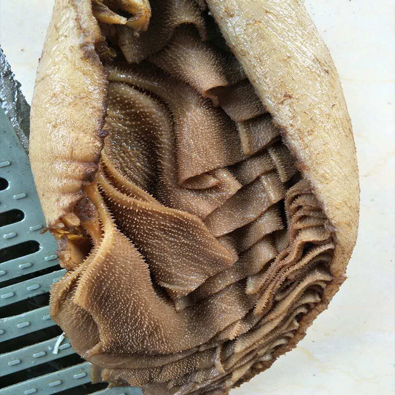 毛肚新鲜冷冻整个牛百叶5斤商用重庆火锅食材大叶片牛肚2500g包邮