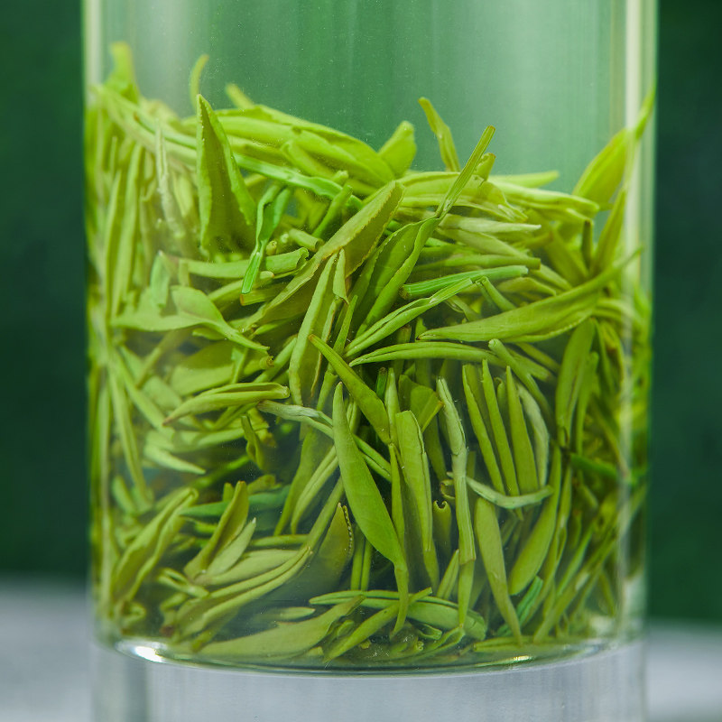 龙潭信阳毛尖茶叶2022年新茶散装嫩叶特级绿茶信阳毛尖