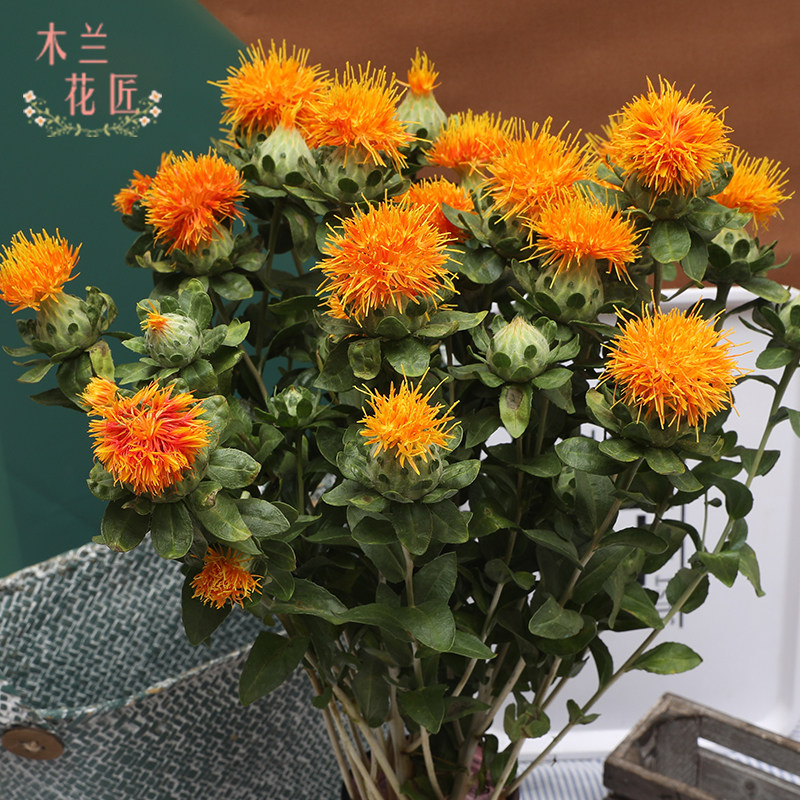 新鲜菠萝鲜花直批花束速递家用办公室鲜切花基鲜花速递同城