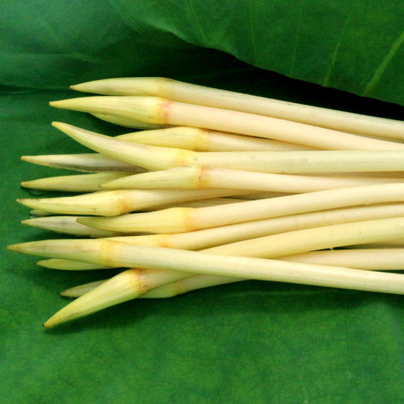 湖北新鲜洪湖藕带3斤当季时令现挖藕肠嫩藕莲藕