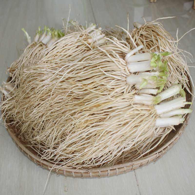 菜根云南新鲜牛皮蔬菜腌制麻辣炖汤下饭饭菜其它