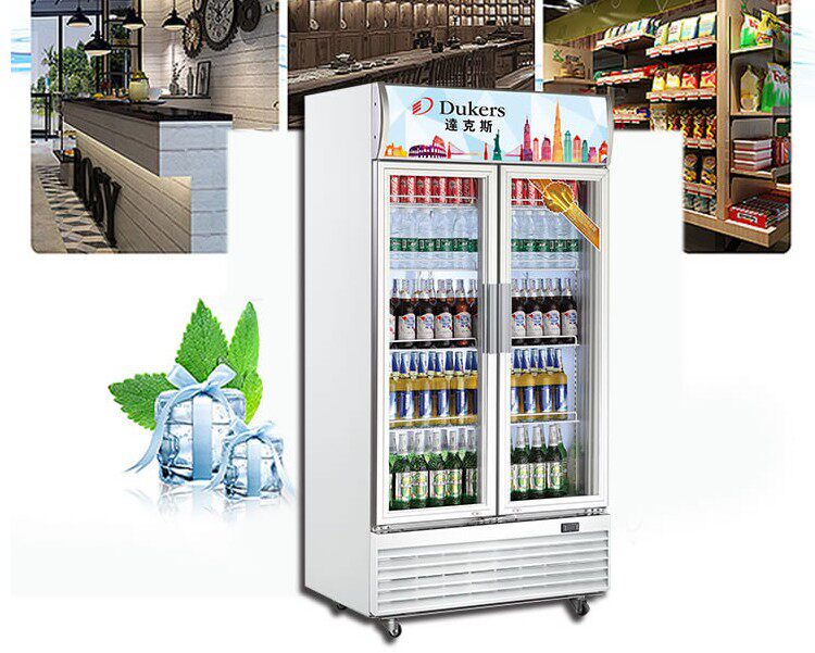 达克斯冷柜铜管无霜风冷立式展示冰柜商用用带展示柜