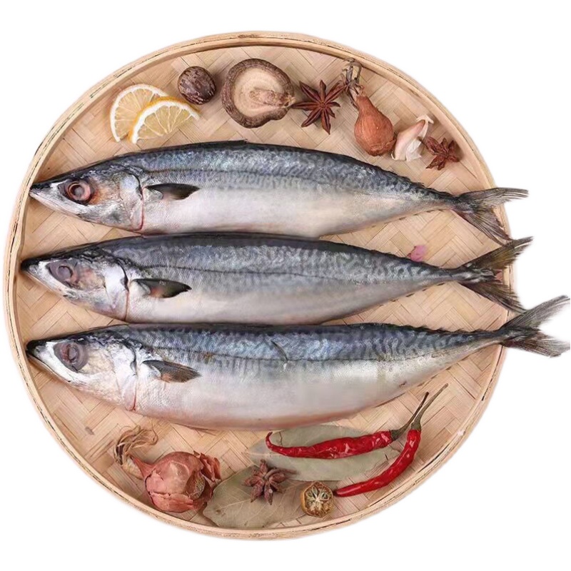青花6斤新鲜冷冻水产占鱼整条青鱼鲜活海鱼马鲛鱼