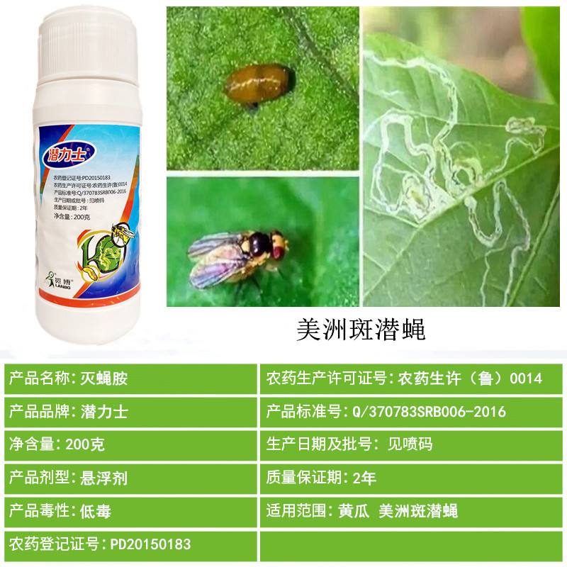 灭蝇美洲斑潜蝇潜夜蝇鬼画符蔬菜花卉大葱黄瓜杀虫剂