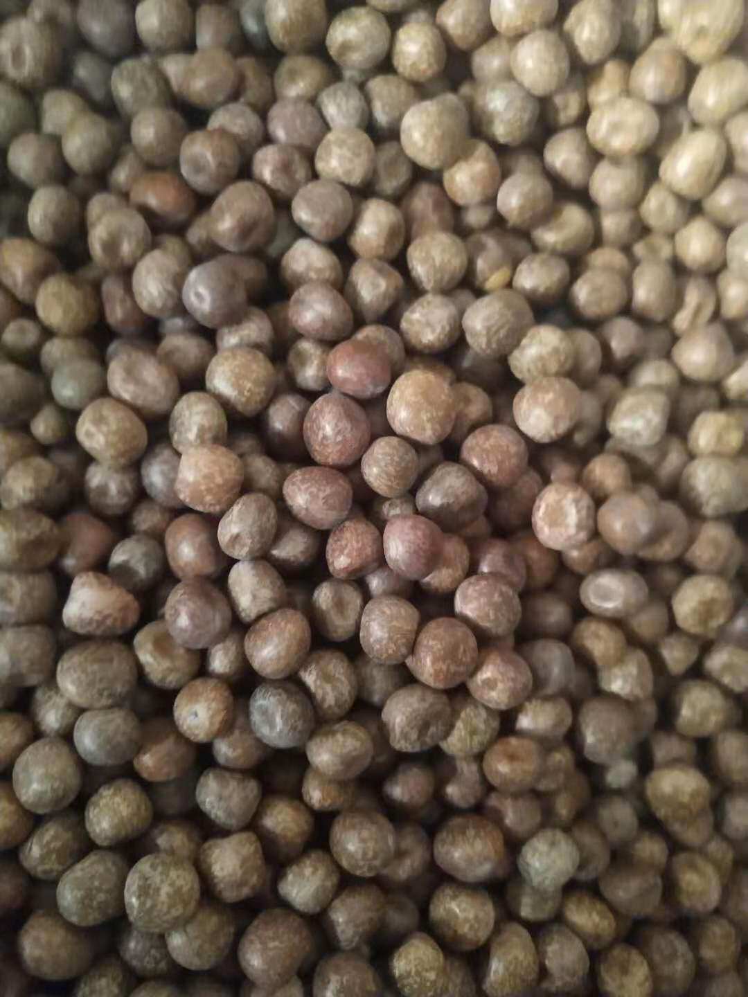 10斤装农家精品枫豆麻豌豆麻豆鸽粮赛飞信鸽粮食鸟食配料包邮