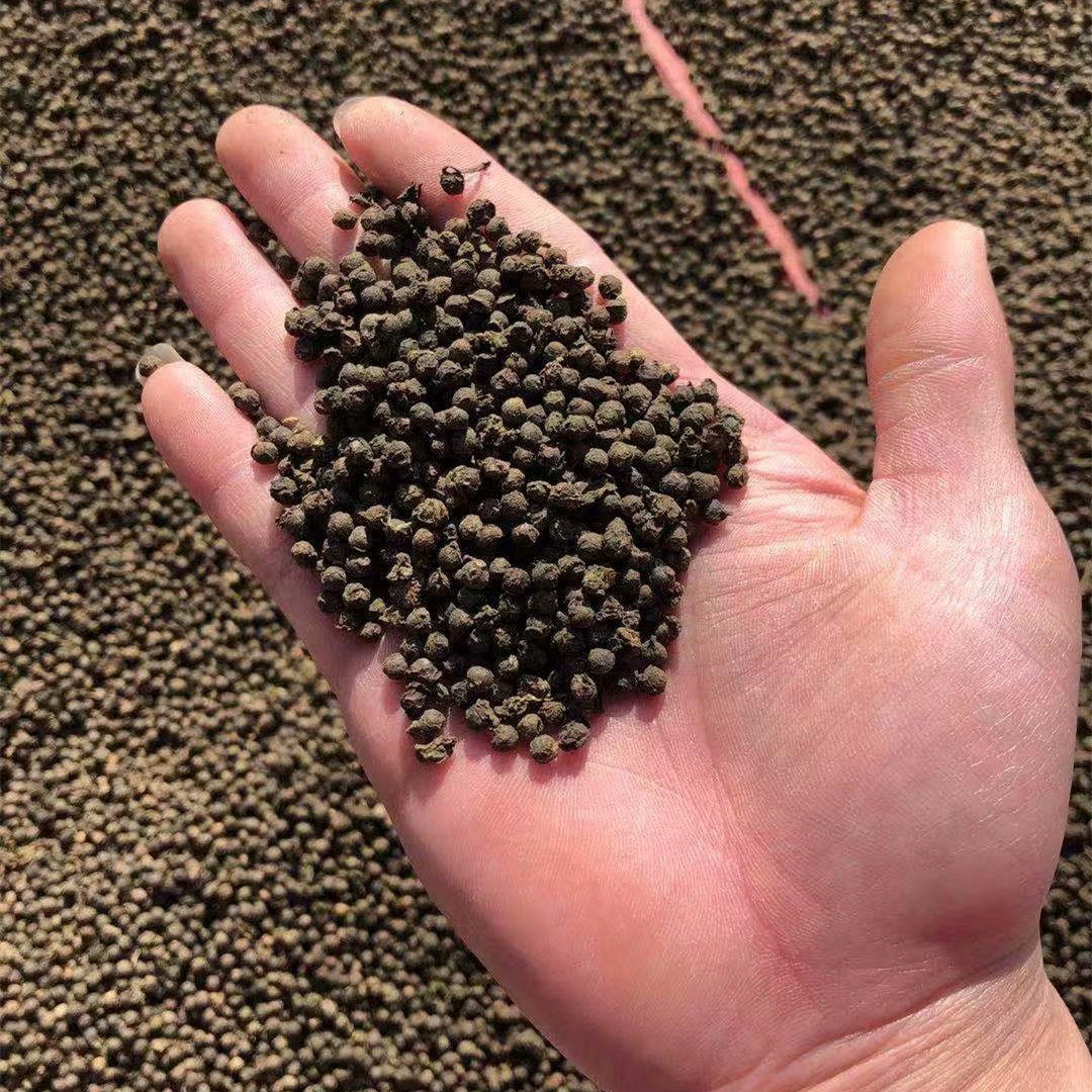 菜种大叶木耳种子爬藤蔬菜胭脂胭脂豆豆腐菜蔬家庭园艺种子