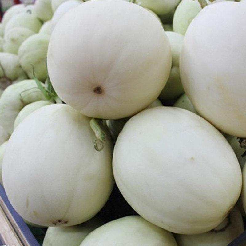 白皮白肉甜瓜种子脆甜爽口糖度高蜜香瓜种籽家庭园艺种子