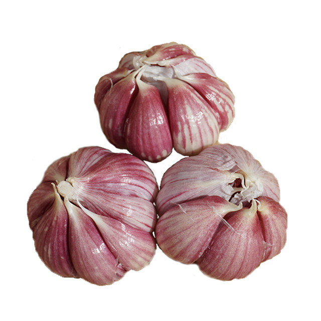 云南紫皮大蒜5斤2019干大蒜头新鲜香蒜多瓣蒜糖醋蒜农家大蒜种子