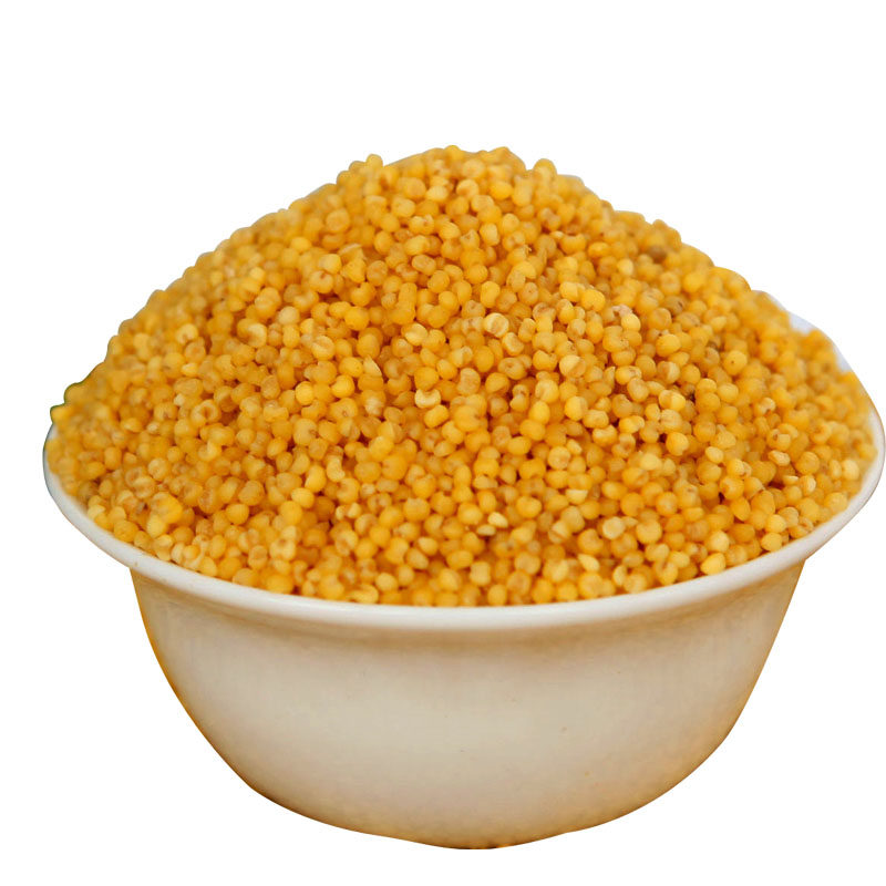 小米种子黄小米红穗抗旱谷种新谷种红钙不吃谷子家庭园艺种子
