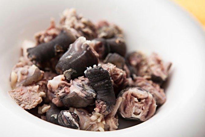 龟肉乌龟肉 新鲜甲鱼龟肉乌龟中药材龟肉鲜活乌龟500克 顺丰包邮