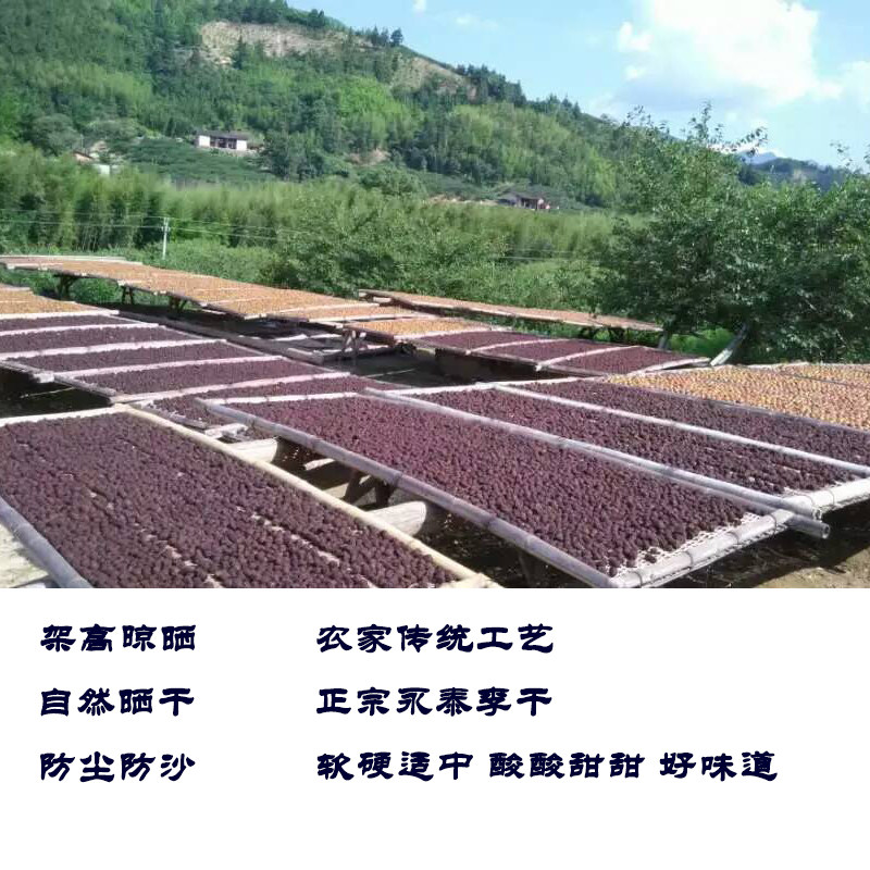 2018新李干福建特产永泰芙蓉李干果孕妇开胃酸甜蜜饯李子干500g