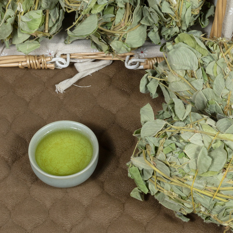 金钱广西大叶新鲜野生草泡水排溶石化石天然广金钱草