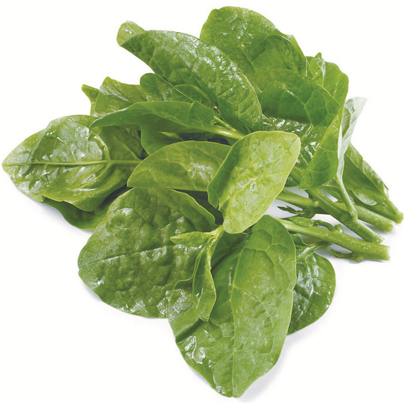 木耳菜种籽 蔬菜种子四季播夏播大叶木耳菜种孑菜种籽农家四季