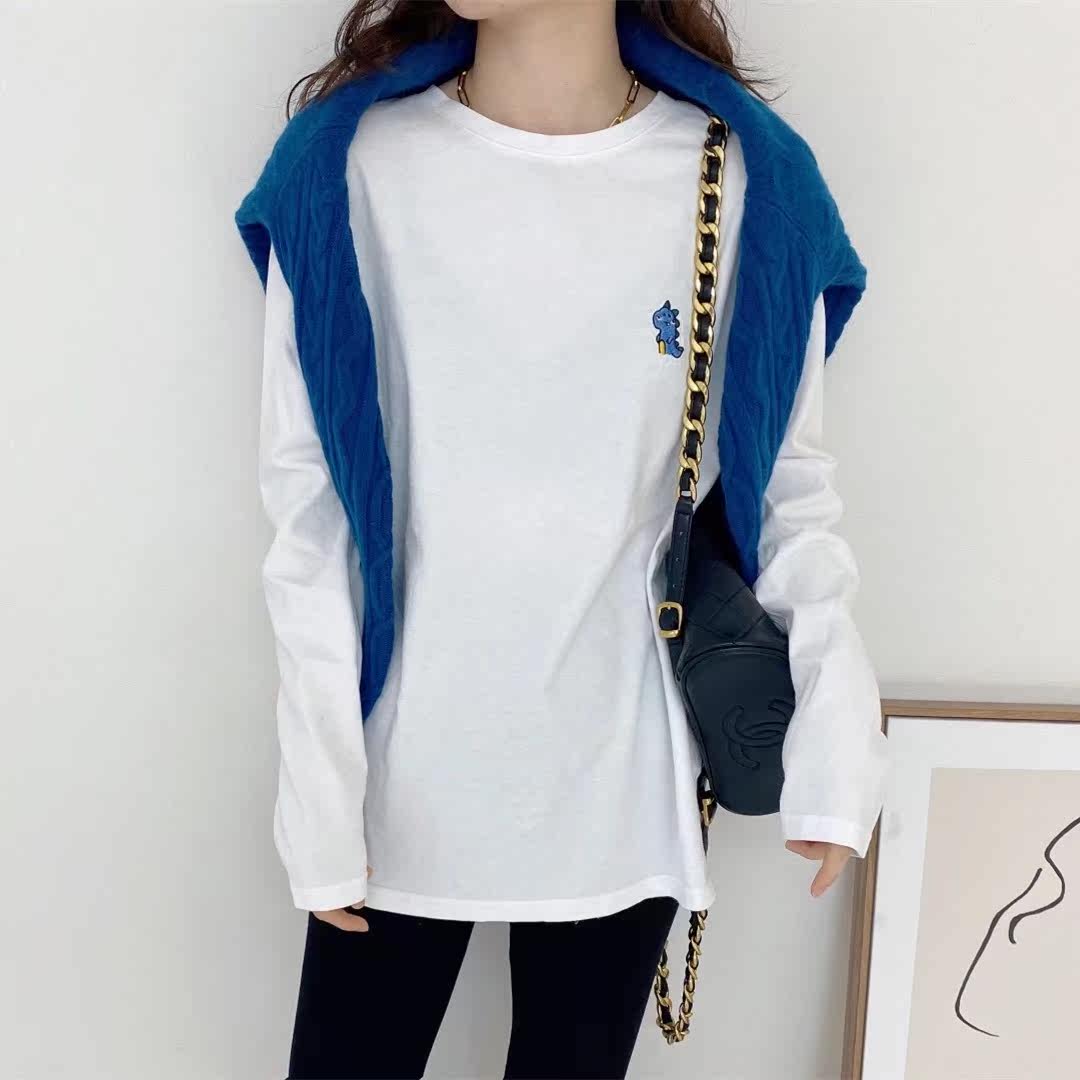 宽松长袖叠穿新款2020冬装上衣百搭t恤