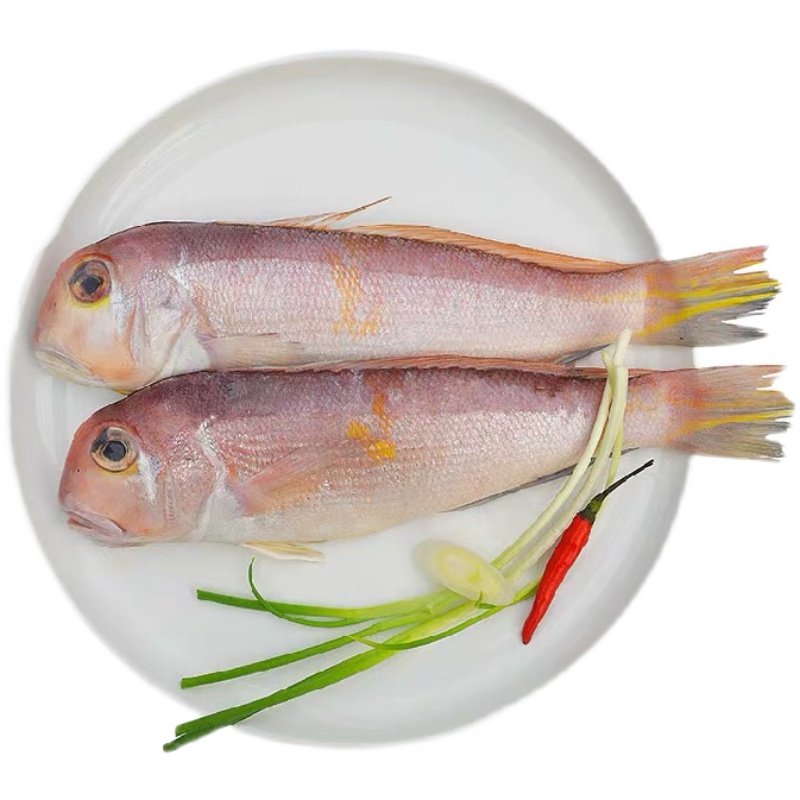 马头深海海钓新鲜斧头方头鱼鲜活冰鲜海鱼冷冻其它