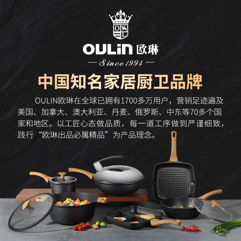 欧琳麦饭石炖锅熬粥煲汤双耳电磁炉