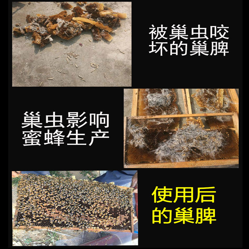 第六代巢虫清木片正品中蜂专用蜜蜂防虫片杀棉虫巢虫净挂片12片装