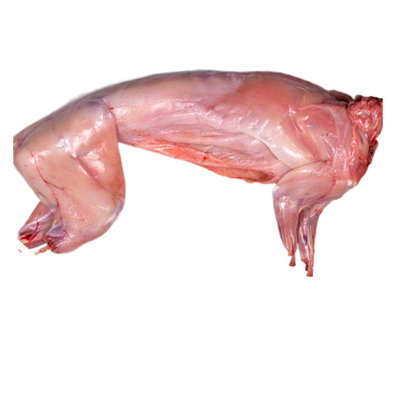 新鲜兔肉家养冷冻现杀生鲜兔子去头白条兔包其它生肉制品