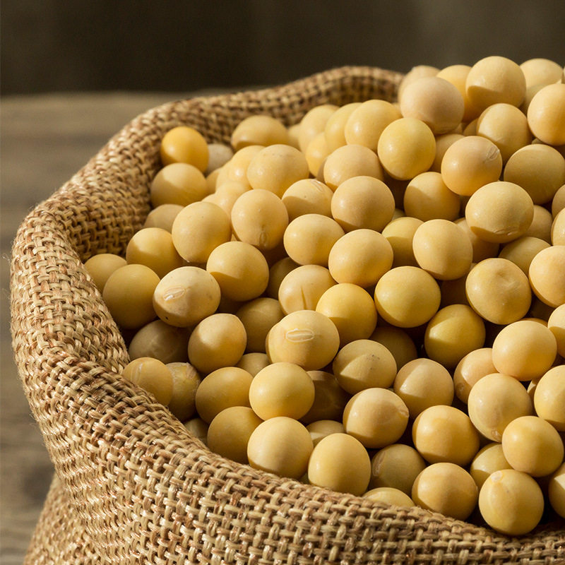 老农帝国东北小黄黄豆5斤转基因大豆豆浆豆芽黄豆
