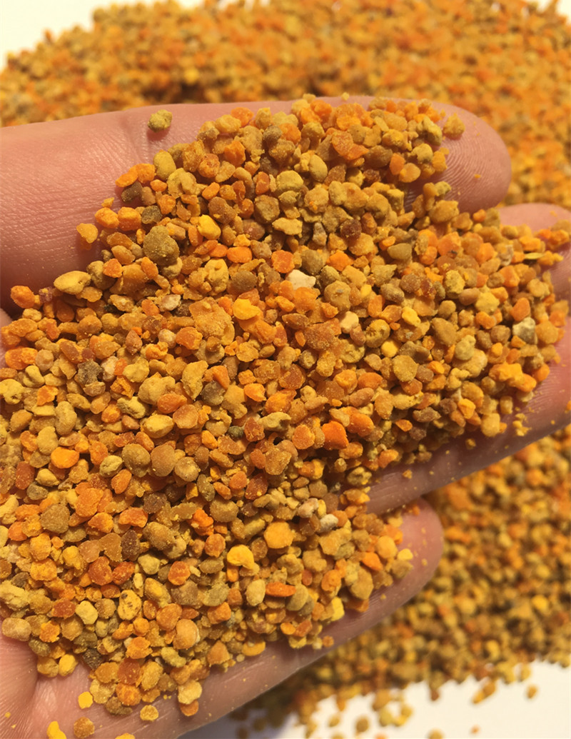 油菜杂粉喂蜂杂粉饲料花粉荞麦杂粉喂蜂饲料花粉全颗粒无粉末包邮