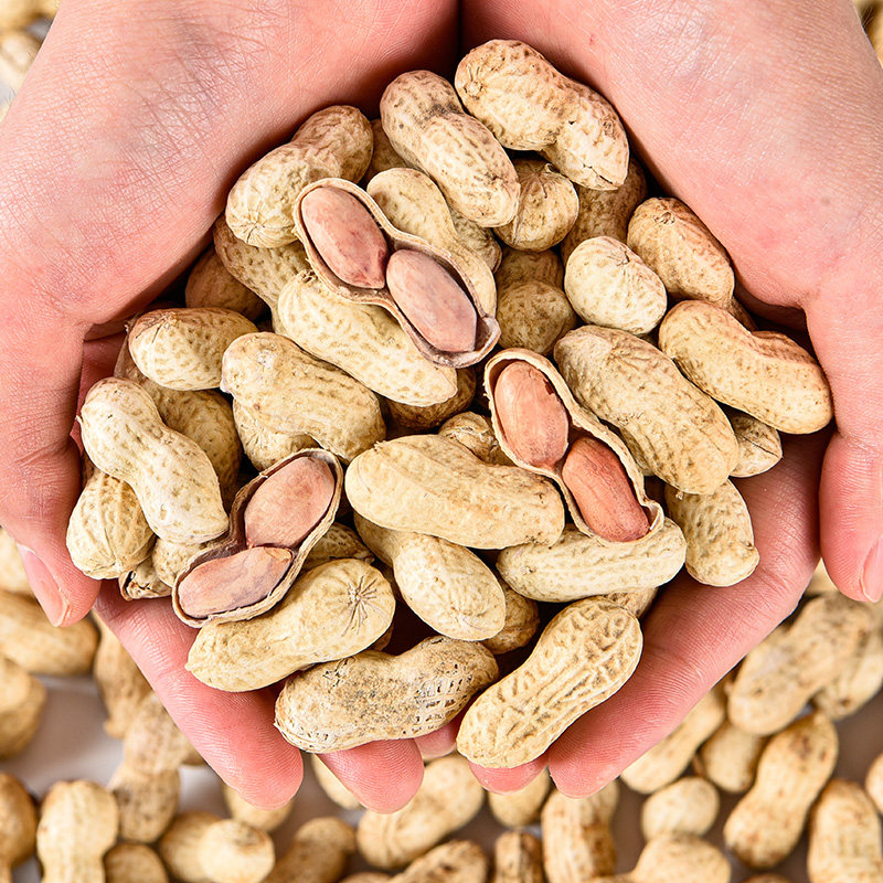 龙岩花生带壳香水煮熟炒货2022年新花花生米五香花生