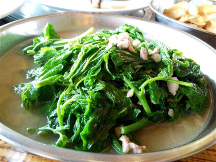 嫩桑餐厅酒店特色汤菜嫩桑芽桑叶凉拌桑苗速冻食品叶菜类