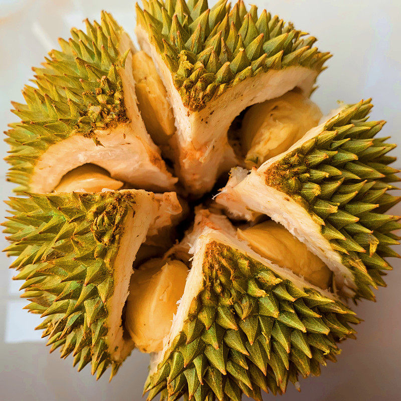 泰国猫山王榴莲现摘新鲜带壳榴莲水果现摘特产包邮2-10斤非金枕头