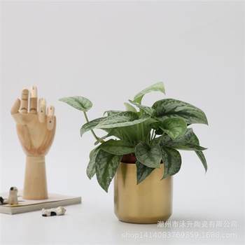 ໝໍ້ດອກໄຟເຊລາມິກທີ່ເຮັດດ້ວຍໄຟຟ້າແບບງ່າຍດາຍແບບທັນສະ ໄໝ ສຳ ລັບການເຮັດສວນໃນເຮືອນທີ່ສ້າງສັນ ໝໍ້ດອກໄມ້ Phalaenopsis ດອກໄມ້ hydroponic