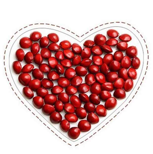 爱心红豆相思豆diy手链脚链项链制作转运情侣定情佩戴挂件夫妻和