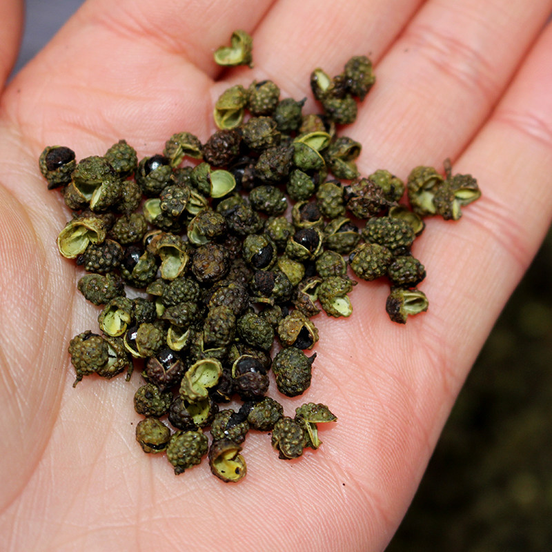 花椒恩施土特产山藤椒山里采自晒特麻特香炖肉麻其它干货