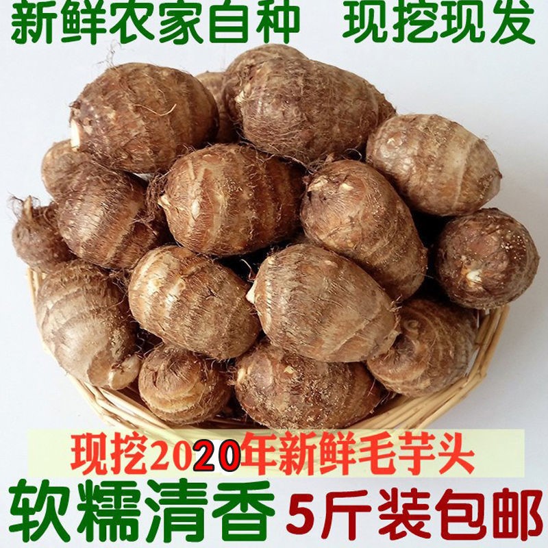 芋头广西荔浦香芋新鲜现挖小芋头魔芋山粉糯毛蔬菜蔬果干