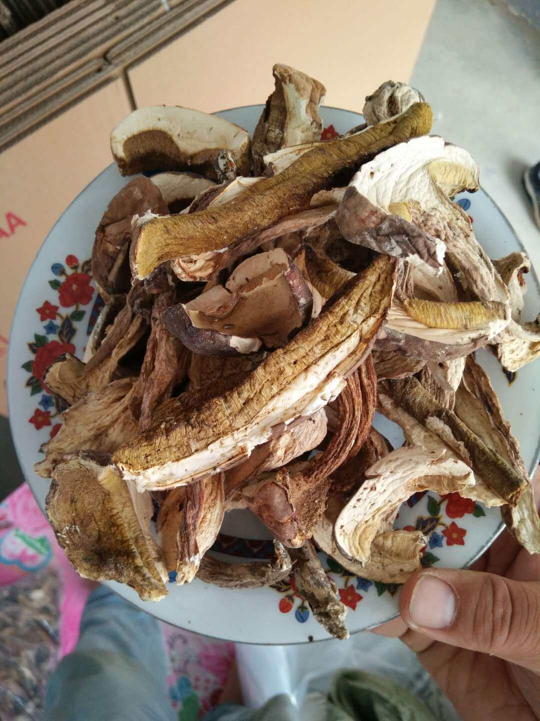 福建宁德白水洋农家土特产苦菇野生菌苦行菇待凉后如会议白瓜子仁