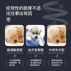 谷登狗狗益生菌粉20包宠物泰迪幼犬调理肠胃金毛拉肚子拉稀呕吐 谷登狗狗益生菌粉20包宠物泰迪幼犬调理肠胃金毛拉肚子拉稀呕吐