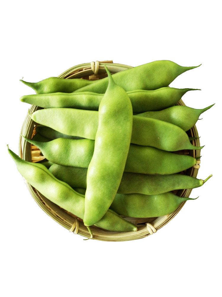 豆角黄豆角2022年东北绿油小油黄金弯勾勾勾包邮新鲜豆类