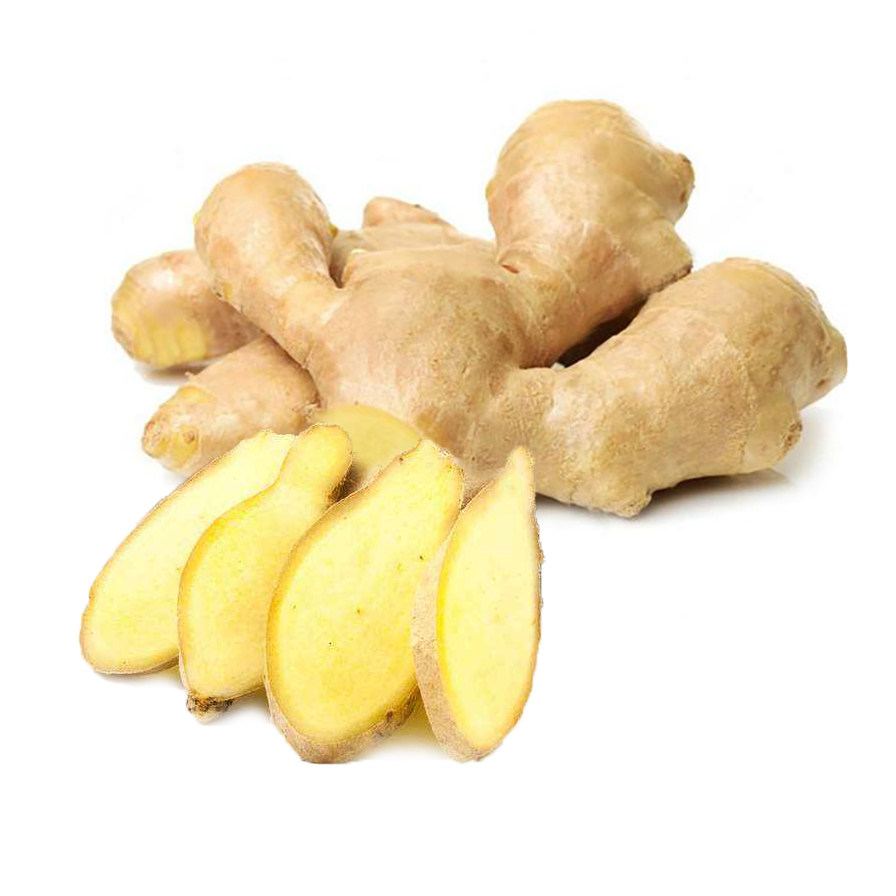 广东生姜辣姜大小黄姜1斤5斤10斤月子老姜生姜