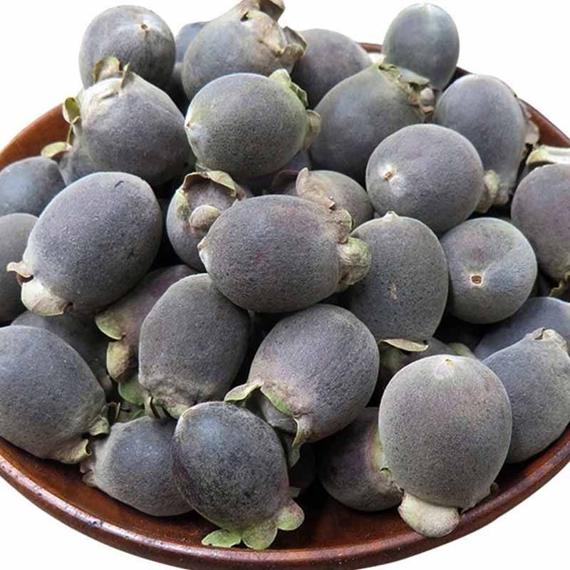 岗捻500克包邮山干果山稔果新货豆稔野生泡酒其他药食同源食品