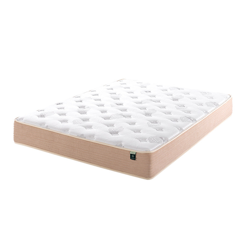 zinus诺思进口天然乳胶双面席梦思椰棕22cm25cm独立乳胶床垫