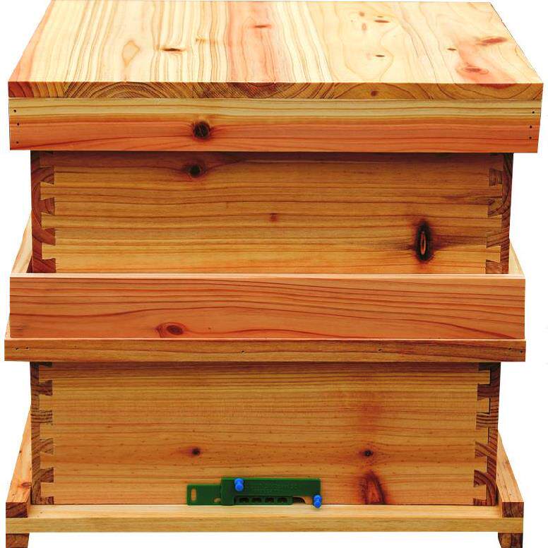 简易养蜂蜜蜂箱套装中蜂箱土蜂箱子意蜂巢础蜂箱蜂王便捷蜂窝新款