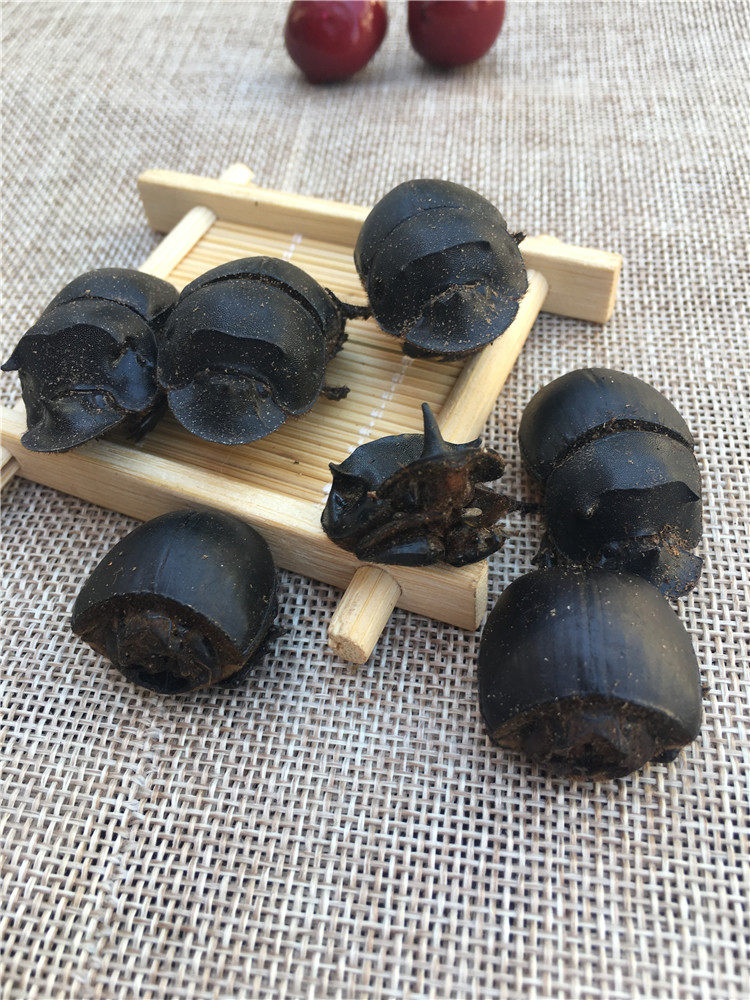屎壳圣甲虫推粪50克大将军虫子铁甲屎蜣牛屎虫新其他药食同源食品