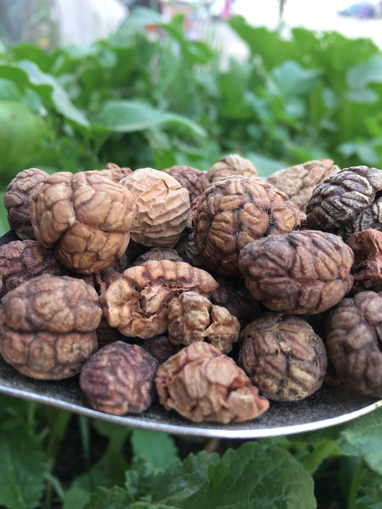 草寇豆蔻老寇老扣老豆香料草蔻250克草扣草豆豆蔻