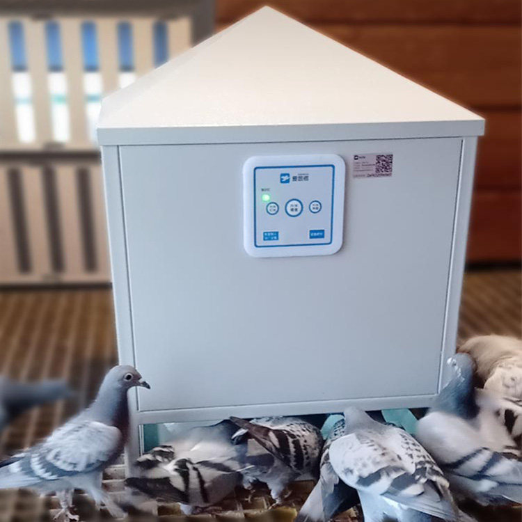 鸽子爱鸽信鸽赛鸽手机智能控制自动喂食用品宠物鸟禽喂食器