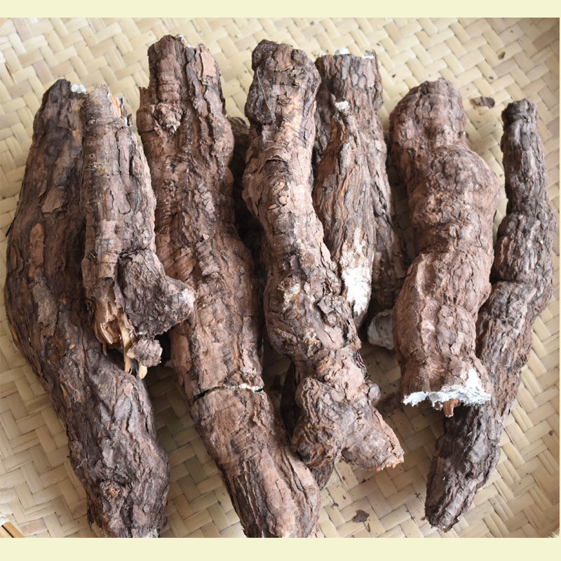 茯神云南整松根深山野生茯苓带松树根整个带皮茯苓