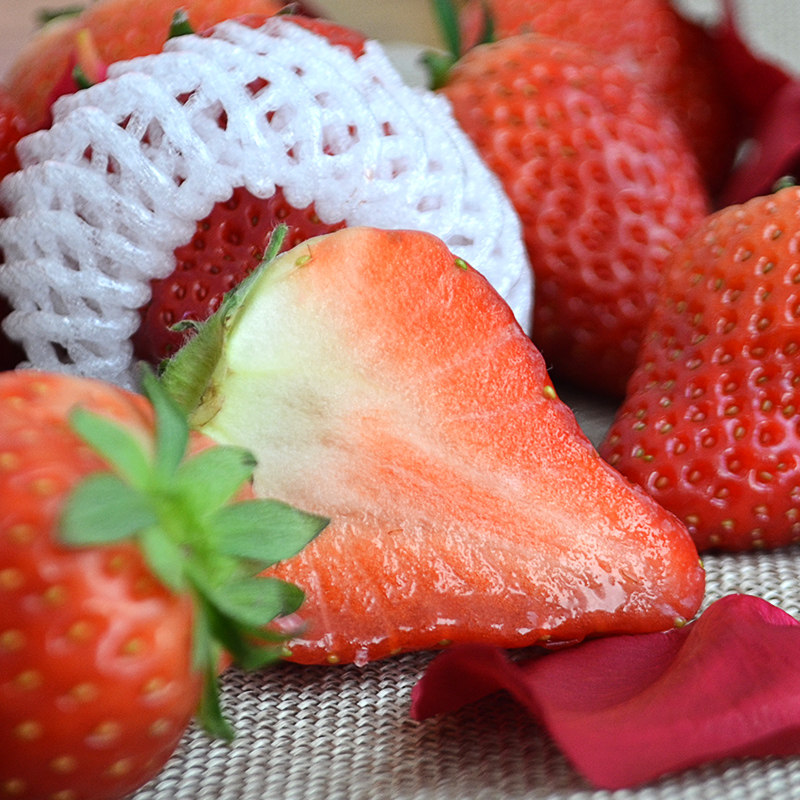 草莓顺丰空运丹东大果新鲜东北特产草莓