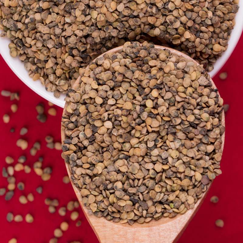 龙葵种子野生水果种籽春夏种植悠黑悠悠特色家庭园艺种子